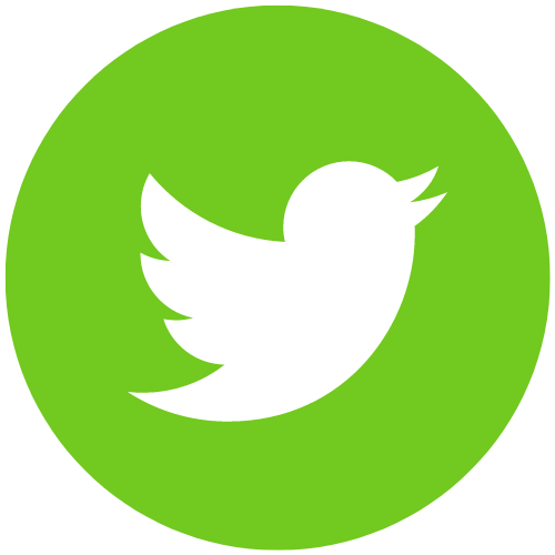 Icône Twitter