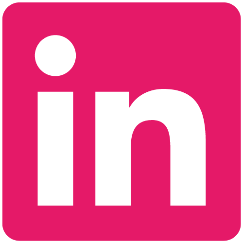 Icône LinkedIn