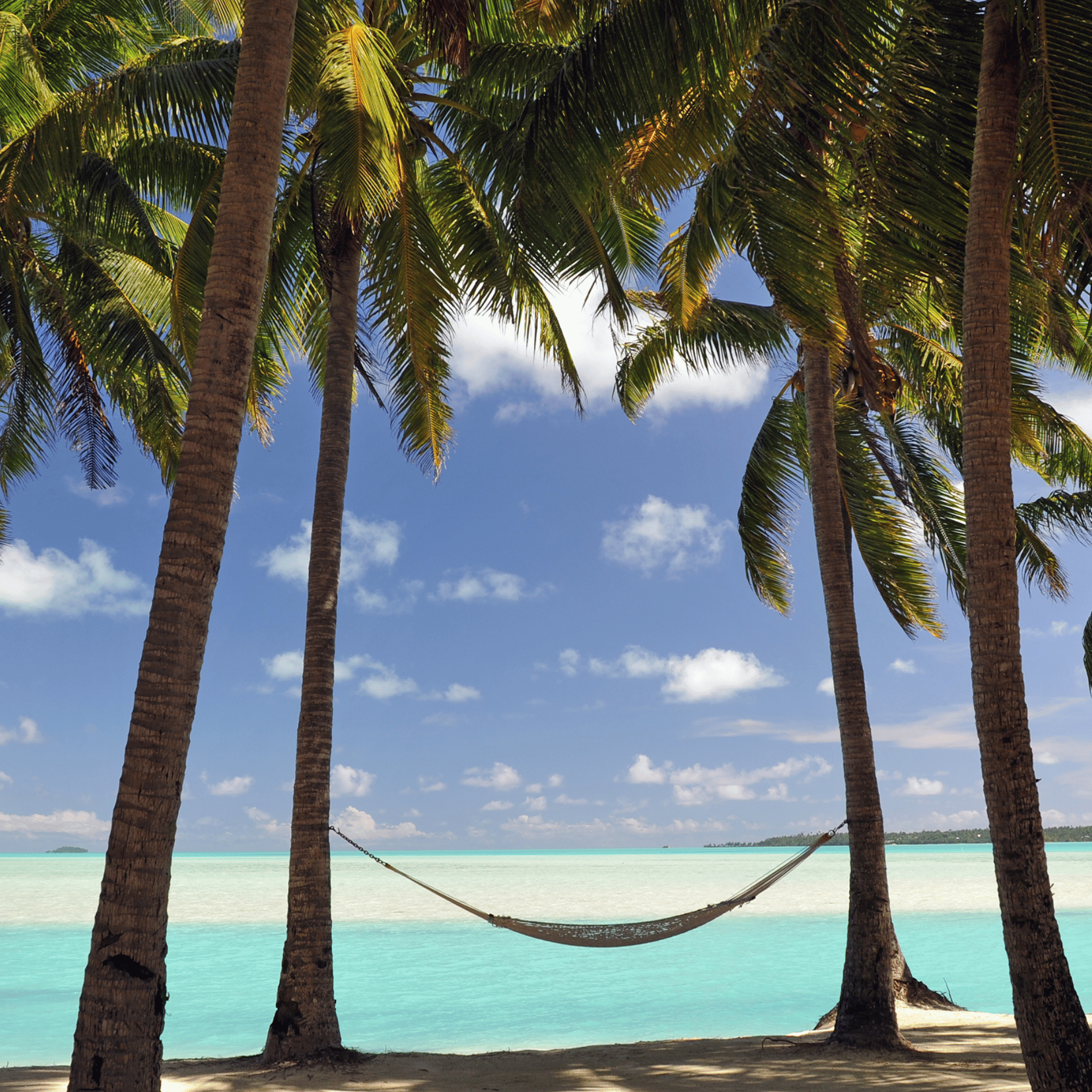 repos